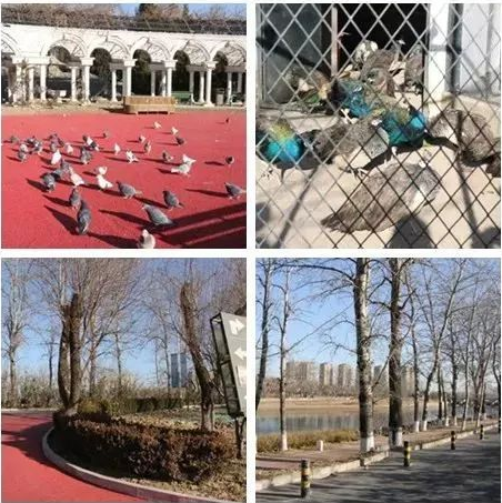 1556419849835024631.png QQ截圖20190428104724.png