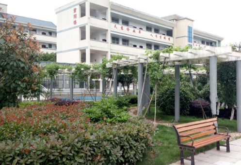 1556693663934015886.png 3.png