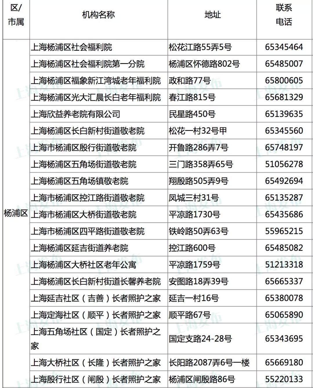 1559460008278023487.jpg 楊浦.jpg