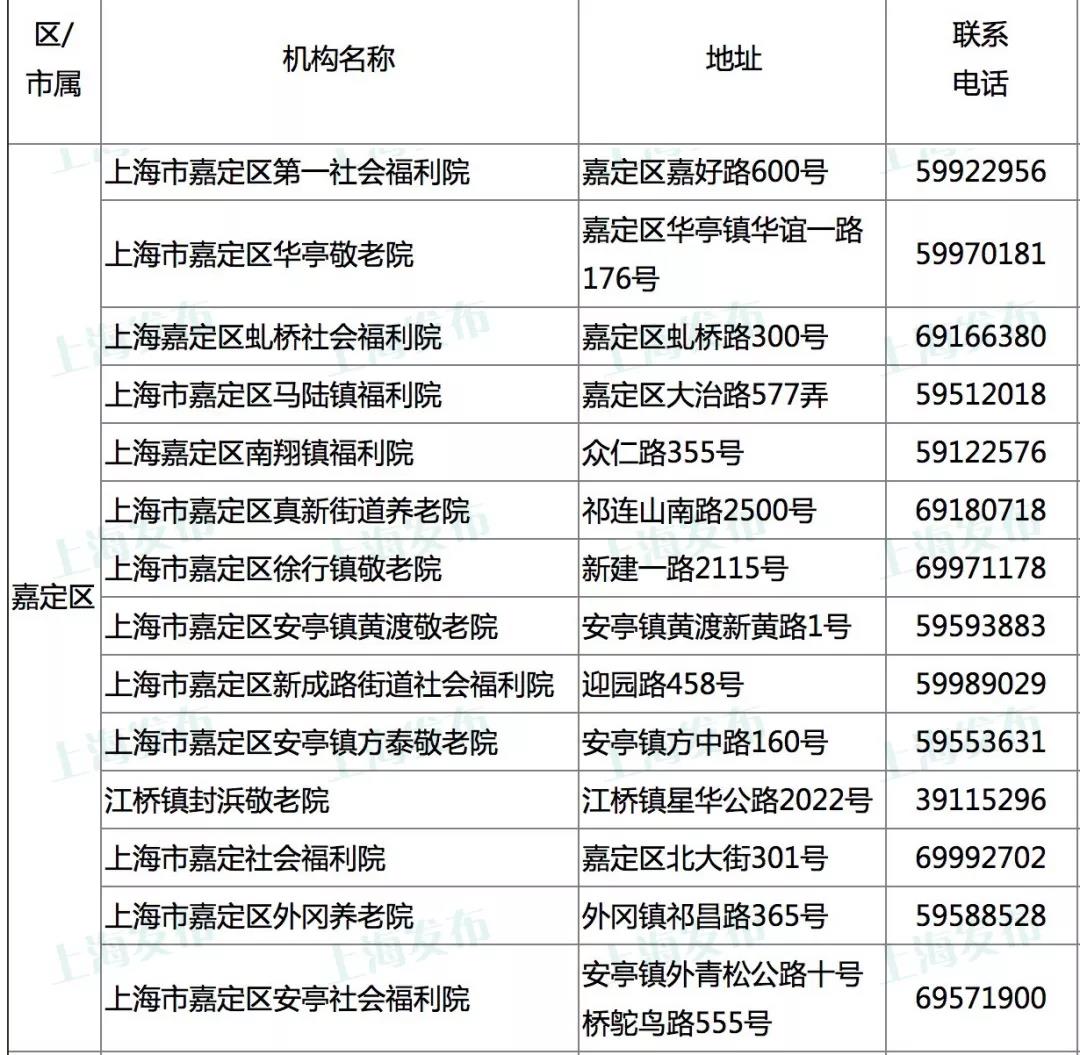 1559460123835054013.jpg 嘉定.jpg