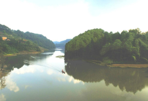 1560856179322055156.png QQ截圖20190618190929.png