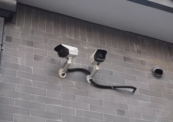 1561883283721005401.png QQ截圖20190630162244.png