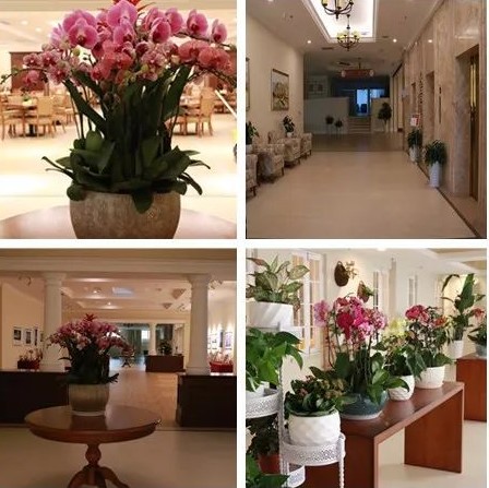 1564797608721059745.jpg 1564797608721059745.jpg