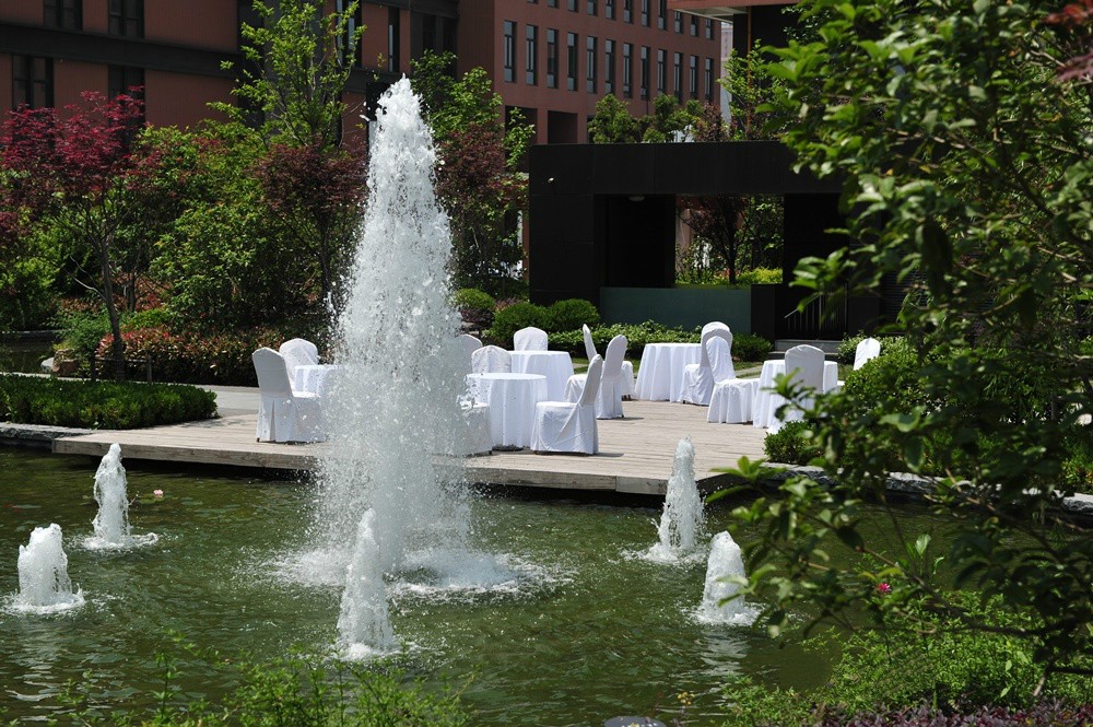 1564798764345011972.jpg 1564798764345011972.jpg