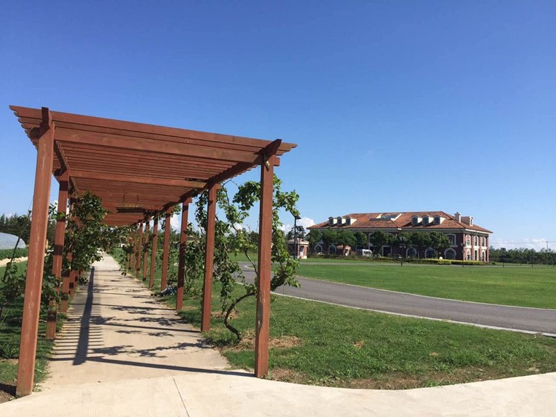 1565056471791031710.jpg 1565056471791031710.jpg