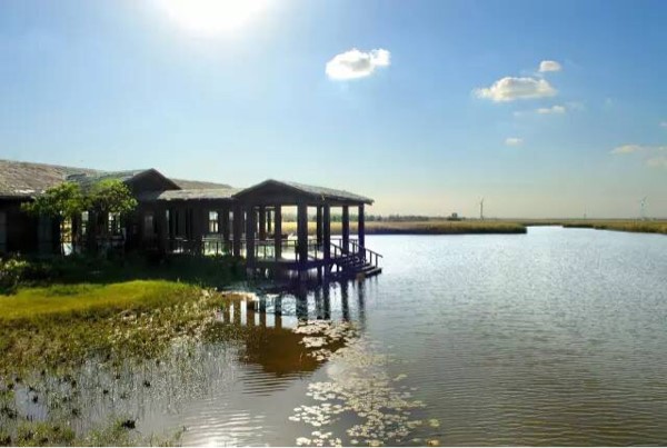 1565056487223052741.jpg 1565056487223052741.jpg