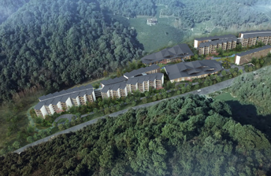 1565160109981056918.png 9.png