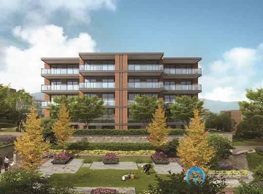 1566610795900069486.jpg 1566610795900069486.jpg