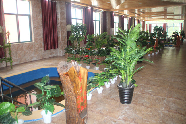 1566801419251030342.jpg 1566801419251030342.jpg