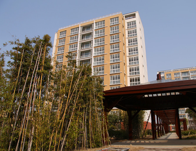 1567419023315054239.jpg 1567419023315054239.jpg