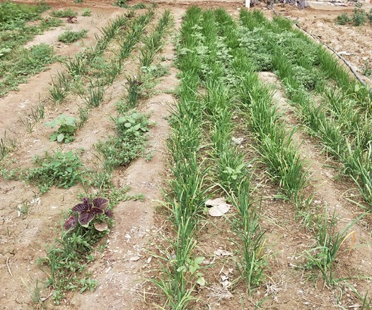 1567582368721067793.png QQ截圖20190904153202.png