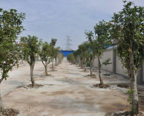 1567764387804062975.png QQ截圖20190906172448.png