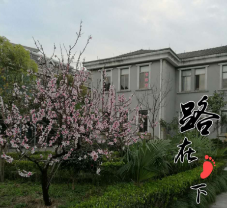 1568108812620016798.png QQ截圖20190910173718.png