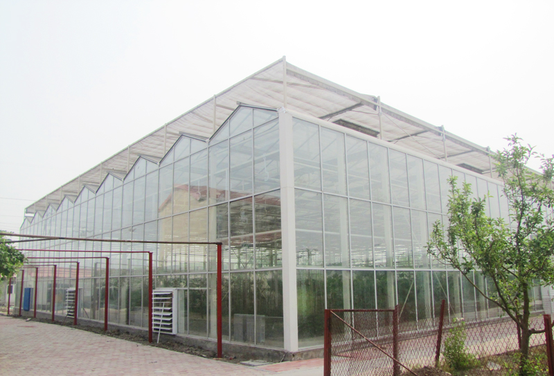 1568778310657069160.jpg 1568778310657069160.jpg