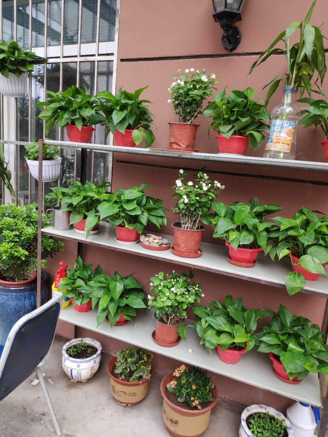 1569059516040070428.jpg 1569059516040070428.jpg