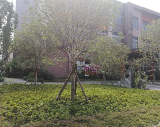 1569636232697076117.png QQ截圖20190928095227.png