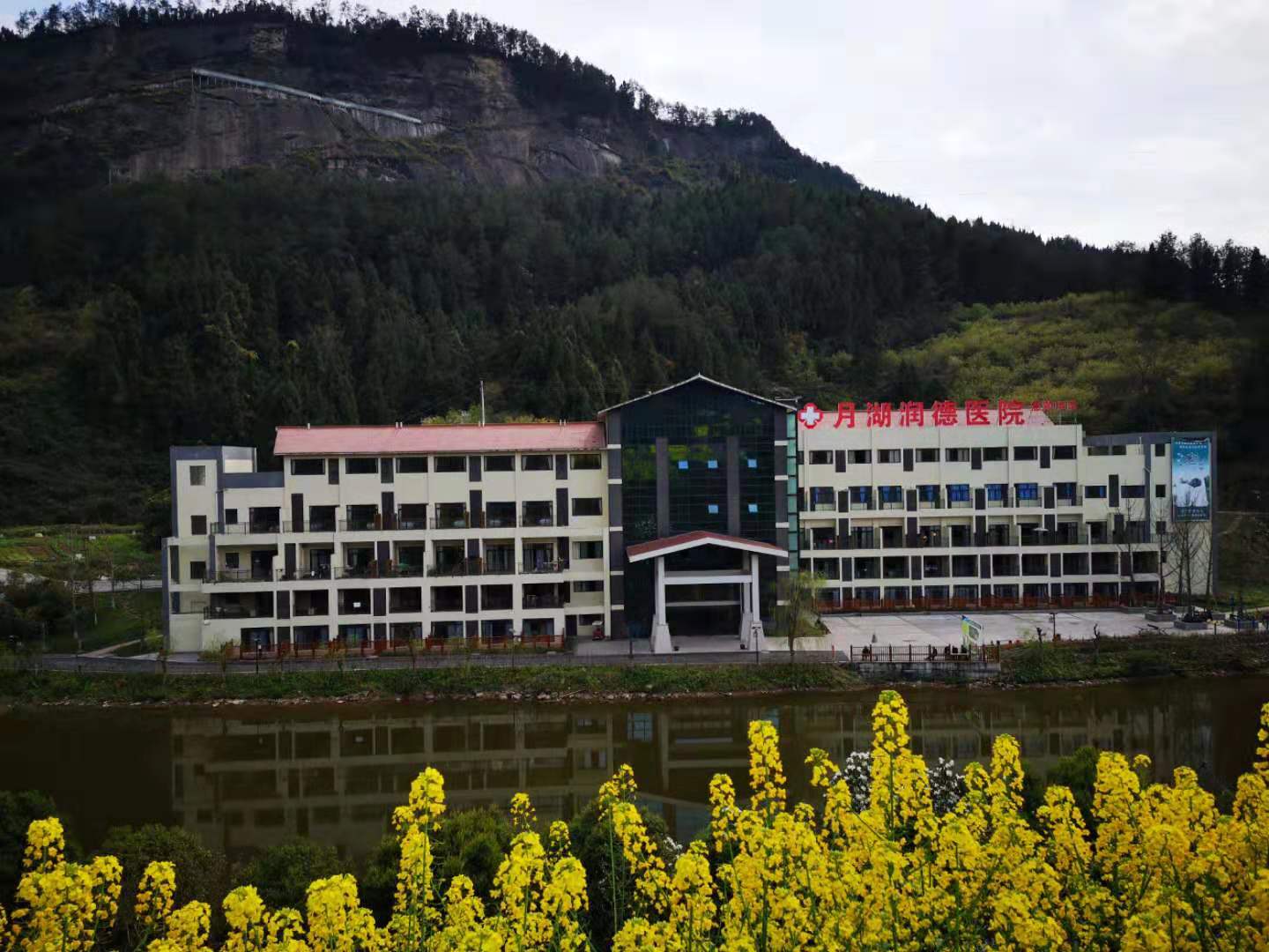 1569986074568075907.jpg 1569986074568075907.jpg