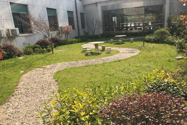 1570003370475065258.jpg 1570003370475065258.jpg