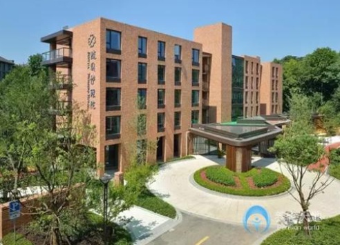 1570611311993071915.png 3.png