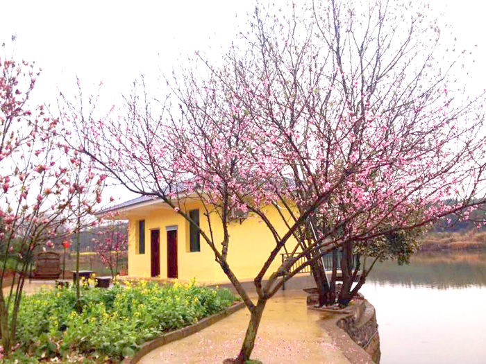 1570873594716000733.jpg 1570873594716000733.jpg