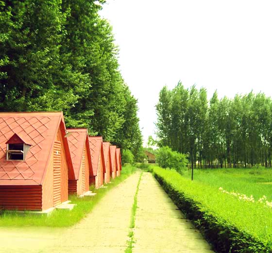 1571036505822063270.jpg 1571036505822063270.jpg