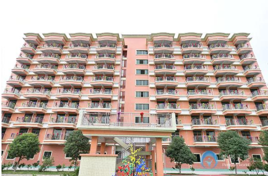 1571987252642032516.png QQ截圖20191025150227.png