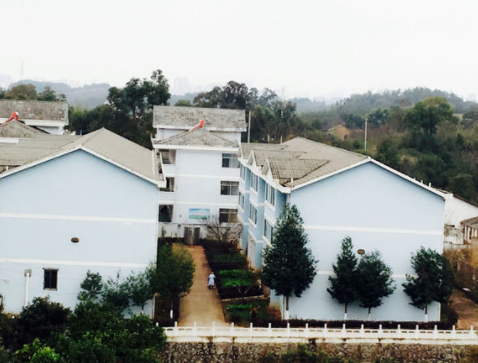 1572056020281020036.png QQ截圖20191026100827.png