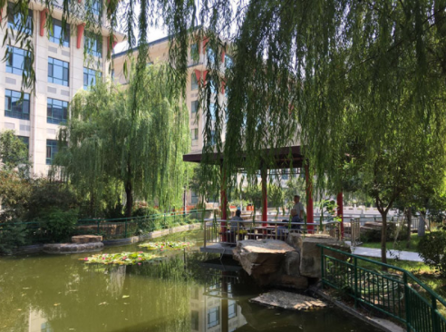 1572071663024070283.png QQ截圖20191026142934.png