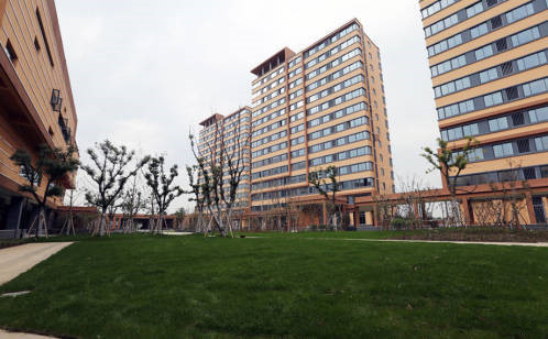 1572257315817050788.jpg 1572257315817050788.jpg