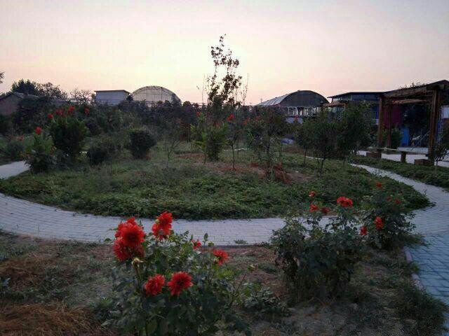 1572343781351020534.jpg 1572343781351020534.jpg