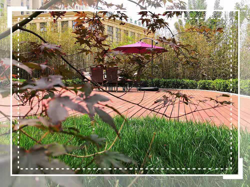 1573091021086081286.jpg 1573091021086081286.jpg