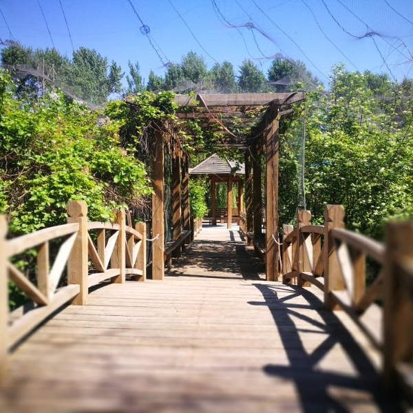 1573183431344008358.jpg 1573183431344008358.jpg