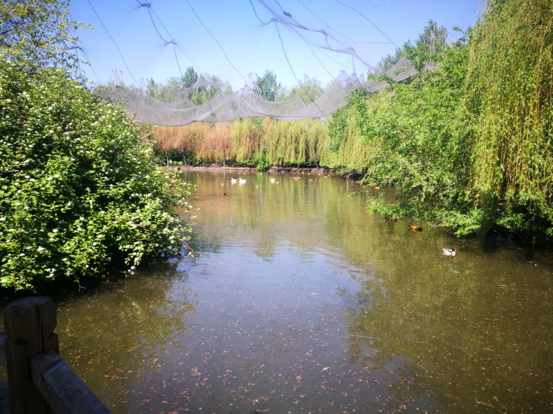 1573183448046076083.jpg 1573183448046076083.jpg