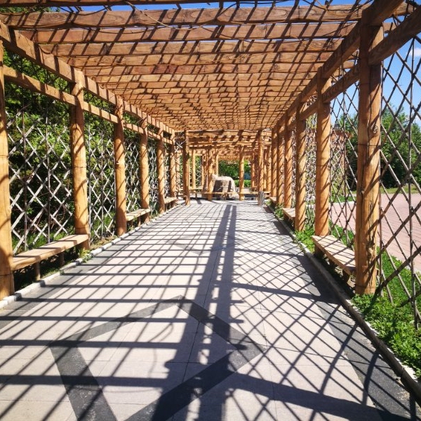 1573183469757029510.jpg 1573183469757029510.jpg