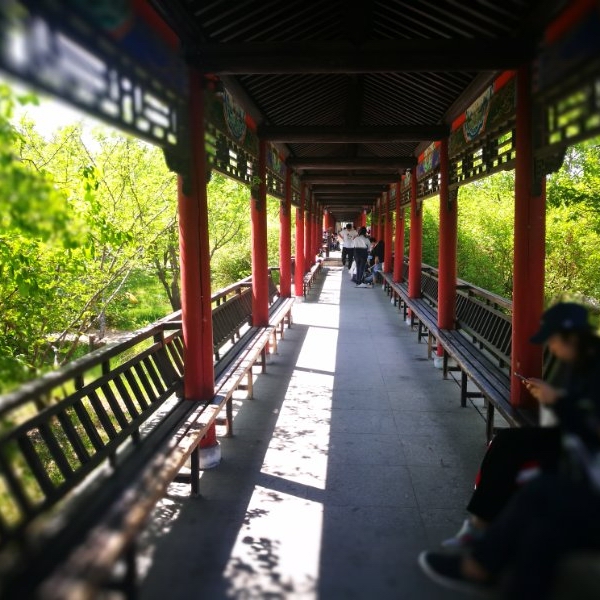 1573183612356073685.jpg 1573183612356073685.jpg