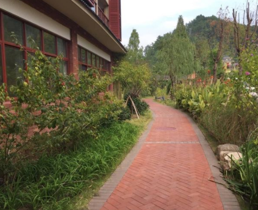 1573542570251025996.png QQ截圖20191112150241.png