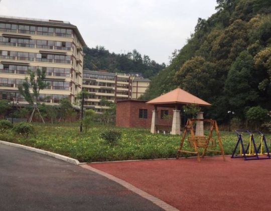 1573542620385015317.png QQ截圖20191112150331.png