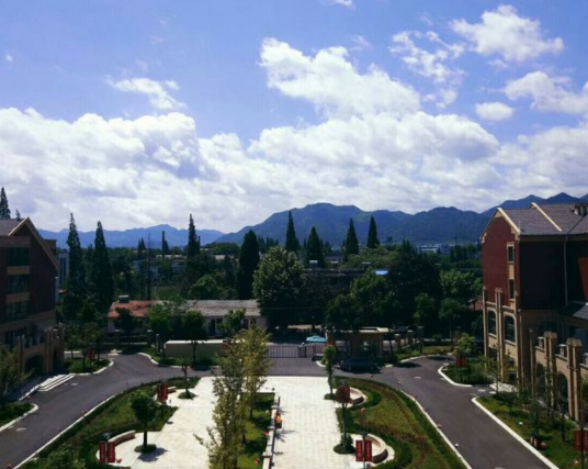 1573545206127024775.png QQ截圖20191112154624.png