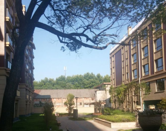 1573545242895043514.png QQ截圖20191112154906.png