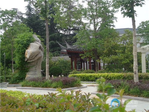 1574060943017040477.jpg 1574060943017040477.jpg