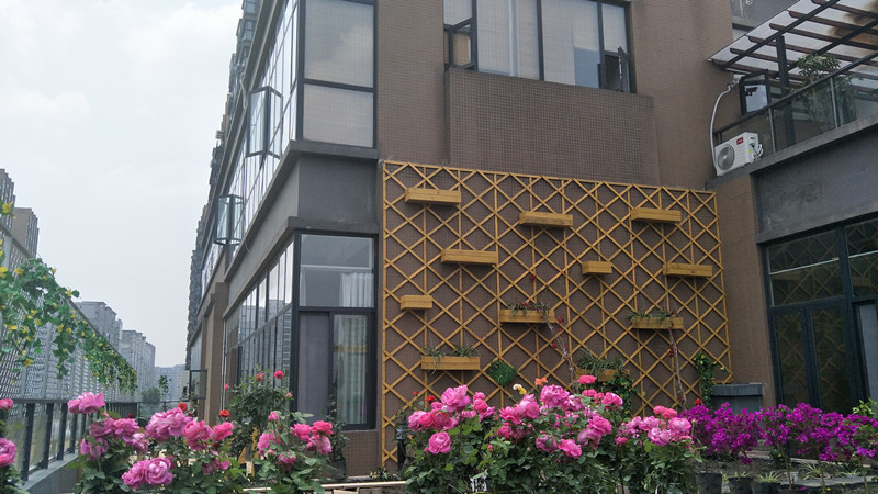 1574149827028093473.jpg 1574149827028093473.jpg