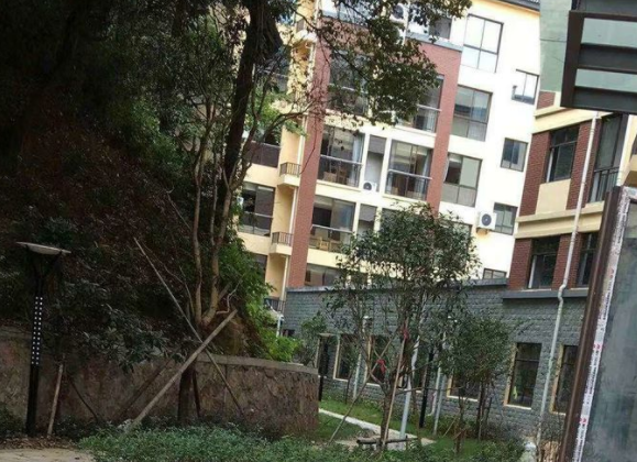 1574238546214087752.png QQ截圖20191120162532.png