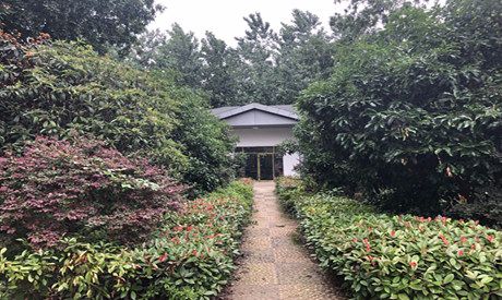 1574327585819084390.jpg 1574327585819084390.jpg