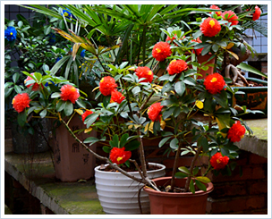 1574391960901030332.jpg 1574391960901030332.jpg