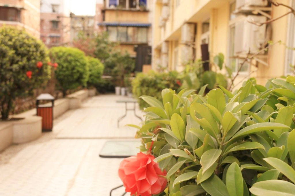 1574413738893061893.jpg 1574413738893061893.jpg