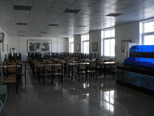 1574496531381009645.gif 1574496531381009645.gif