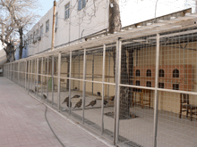 1574496568285036070.gif 1574496568285036070.gif