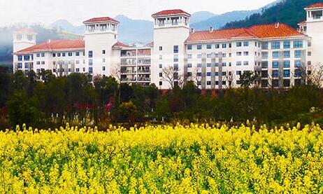 1574668578844096940.jpg 1574668578844096940.jpg