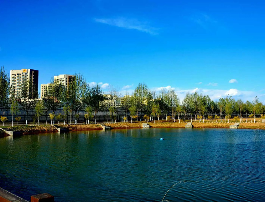 1574848567338038382.jpg 1574848567338038382.jpg