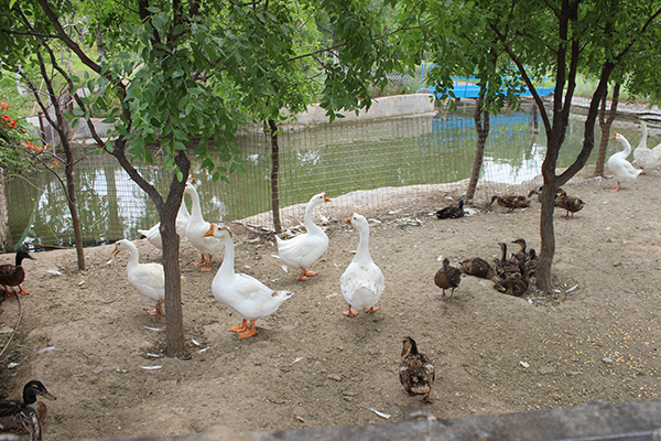 1575352310077073504.jpg 1575352310077073504.jpg